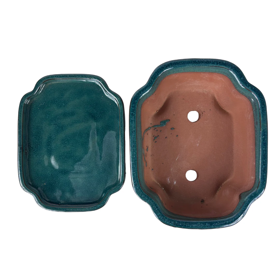 Bonsai pot groen mokko 32cm - set - Image 5