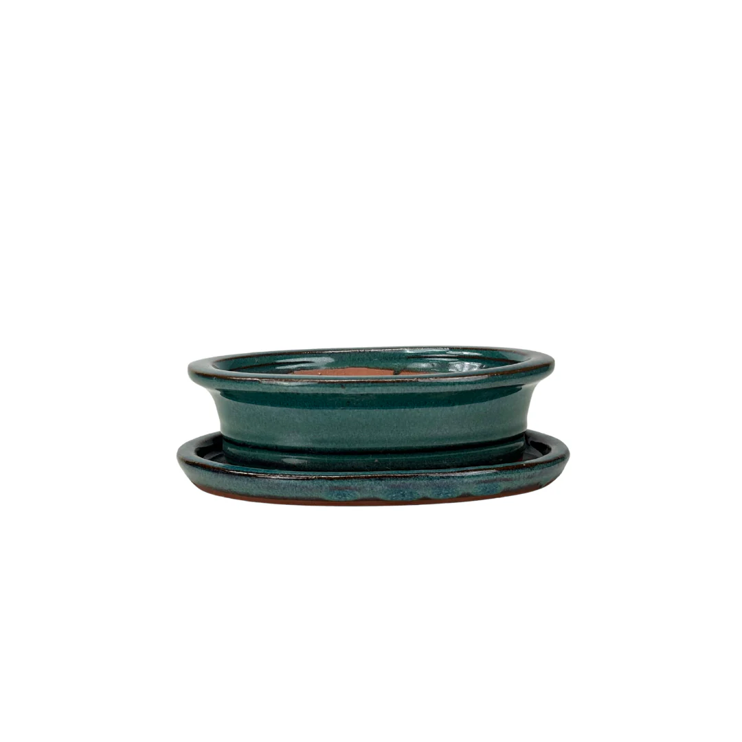 Bonsai pot groen ovaal met rand 16cm - set