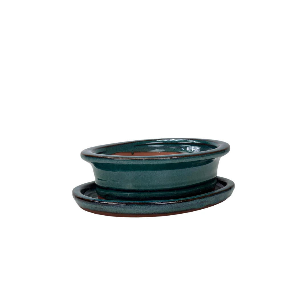 Bonsai pot groen ovaal met rand 16cm - set - Image 2