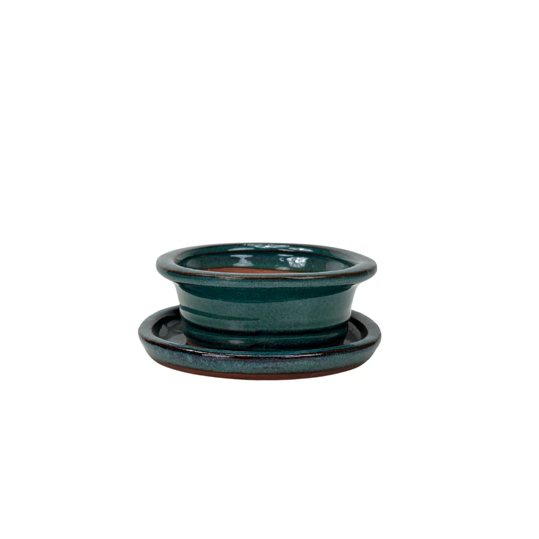 Bonsai pot groen ovaal met rand 16cm - set - Image 3