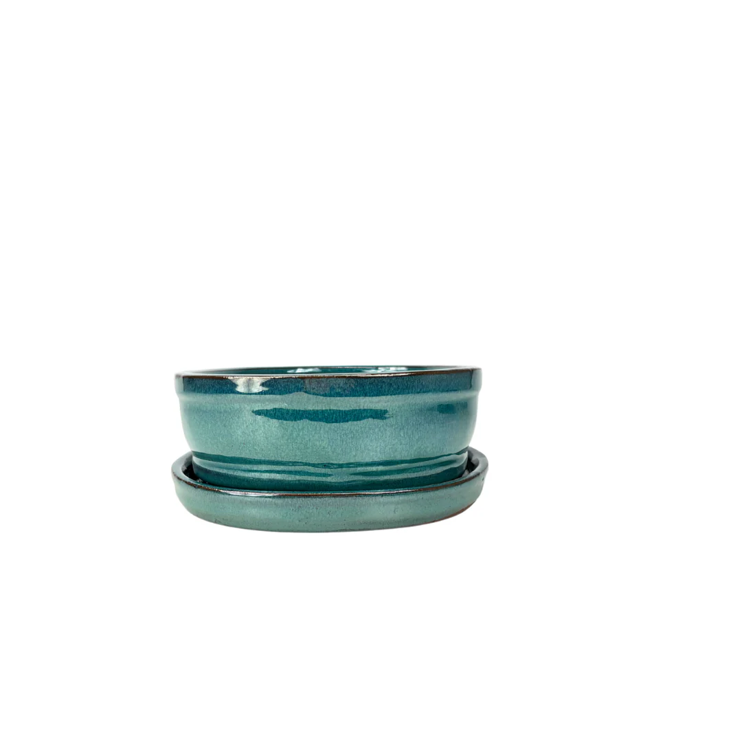 Bonsai pot groen ovaal 16cm - set - Image 3