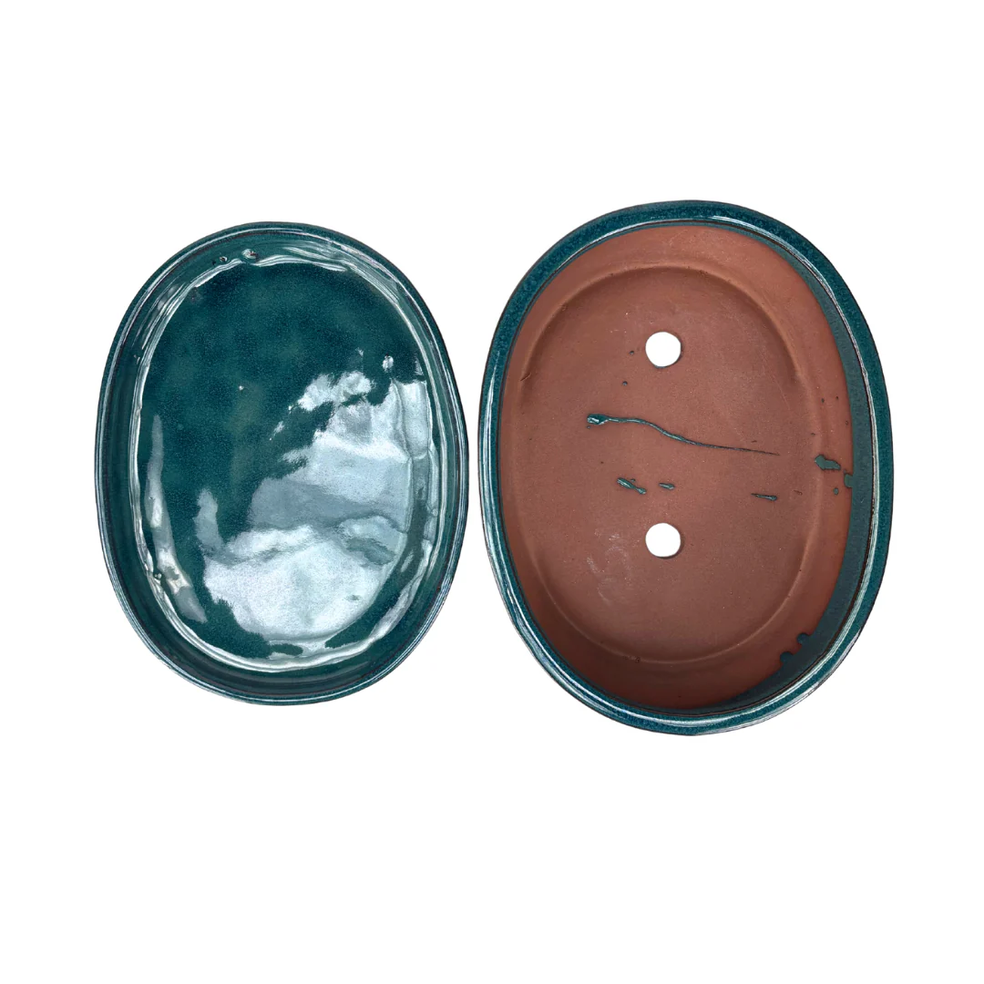 Bonsai pot groen ovaal 16cm - set - Image 5