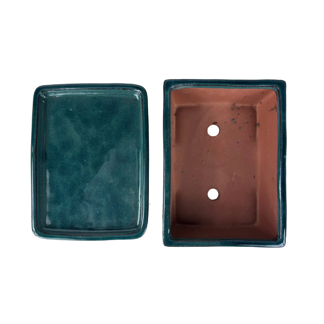 Bonsai pot groen rechthoek 30cm - set - Image 5