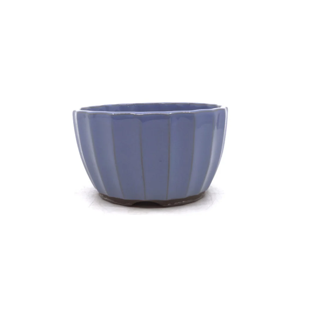 Bonsai pot lichtblauw chrysanten 15cm