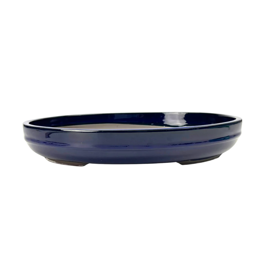 Bonsai pot - ovaal, geglazuurd, blauw (41cm breed)