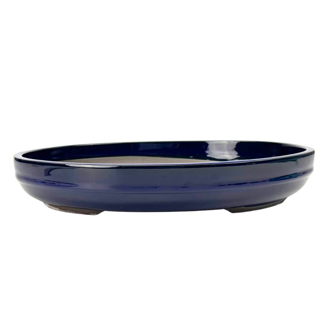 Bonsai pot - ovaal, geglazuurd, blauw (47cm breed)