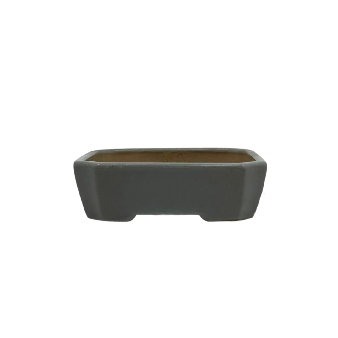 Bonsai pot - rechthoekig, geglazuurd, licht blauw grijs (17cm breed)