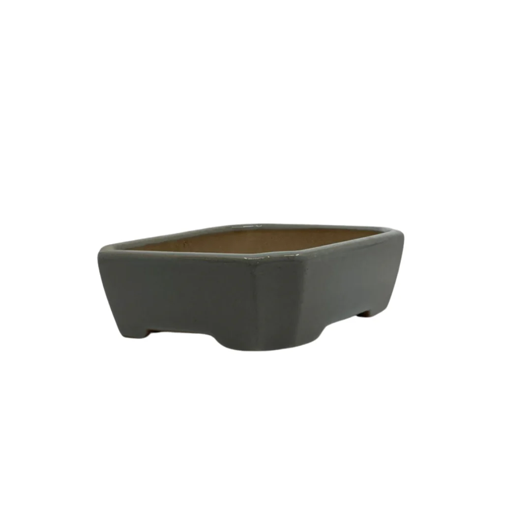 Bonsai pot - rechthoekig, geglazuurd, licht blauw grijs (17cm breed) - Image 2