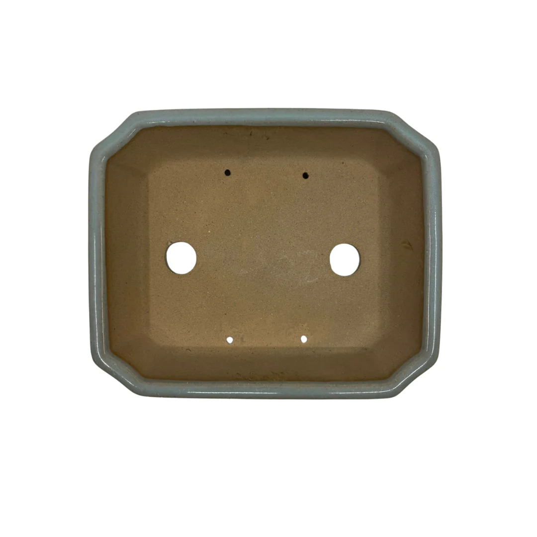 Bonsai pot - rechthoekig, geglazuurd, licht blauw grijs (17cm breed) - Image 4