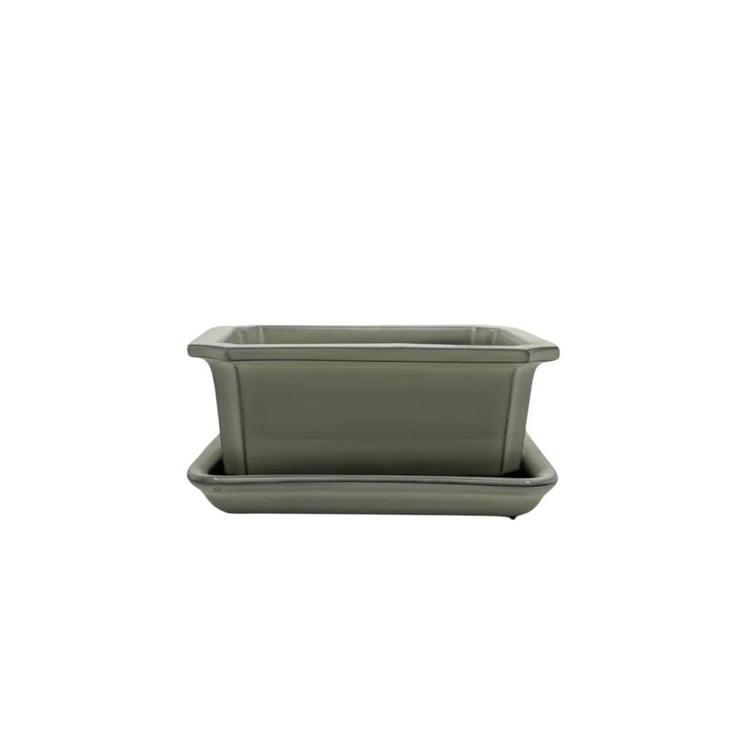 Bonsai pot set - rechthoekig, geglazuurd, crème (14cm breed)