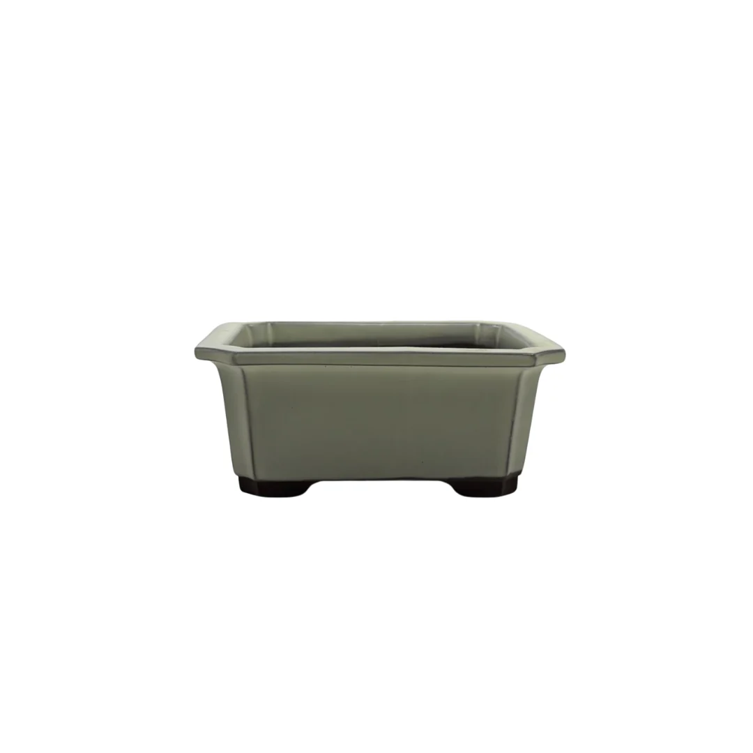 Bonsai pot set - rechthoekig, geglazuurd, crème (14cm breed) - Image 2