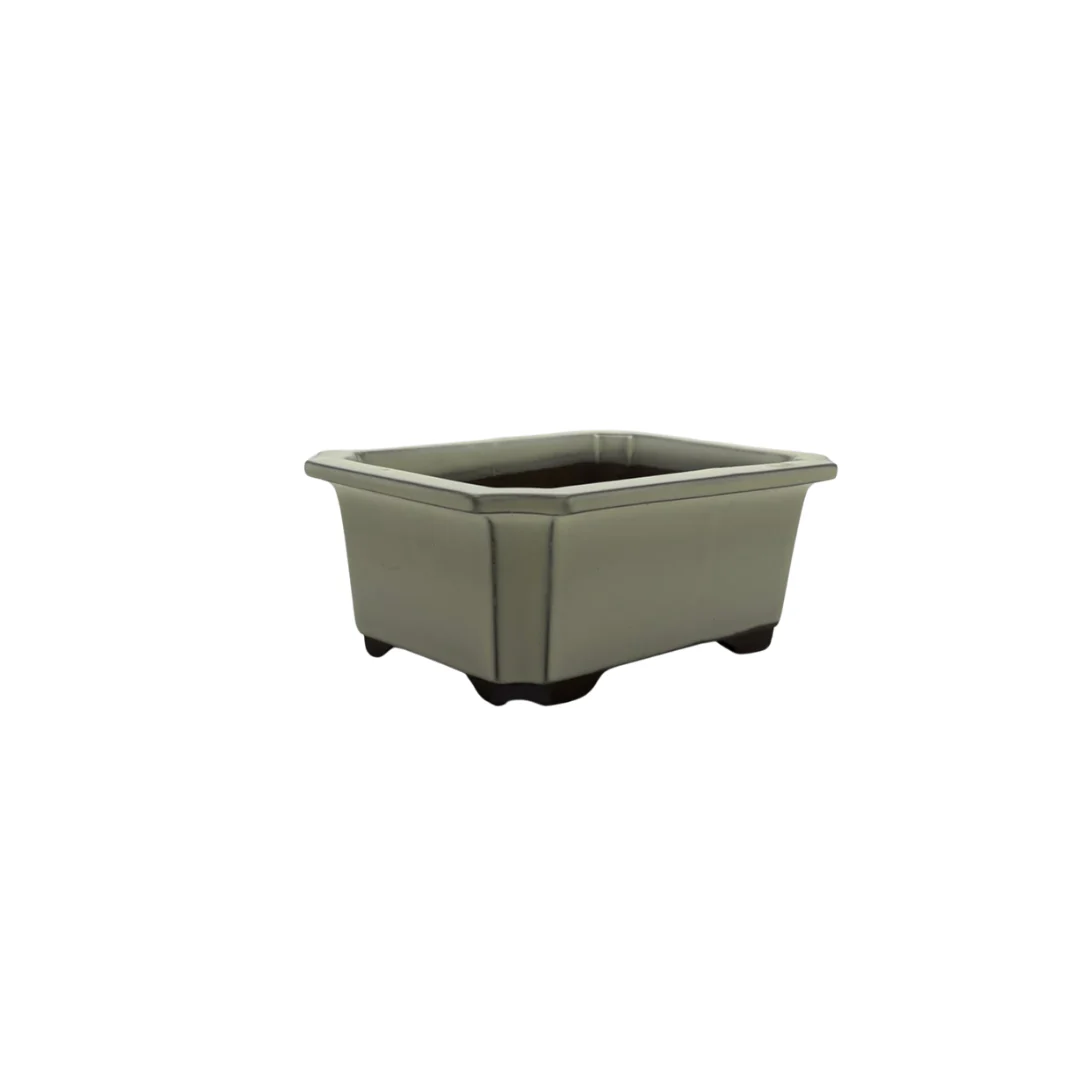 Bonsai pot set - rechthoekig, geglazuurd, crème (14cm breed) - Image 3