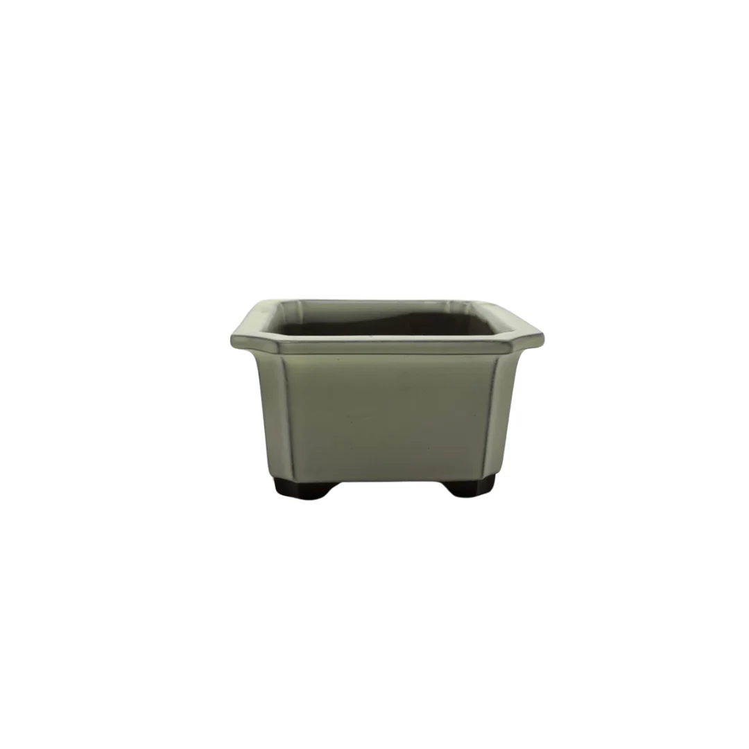 Bonsai pot set - rechthoekig, geglazuurd, crème (14cm breed) - Image 4