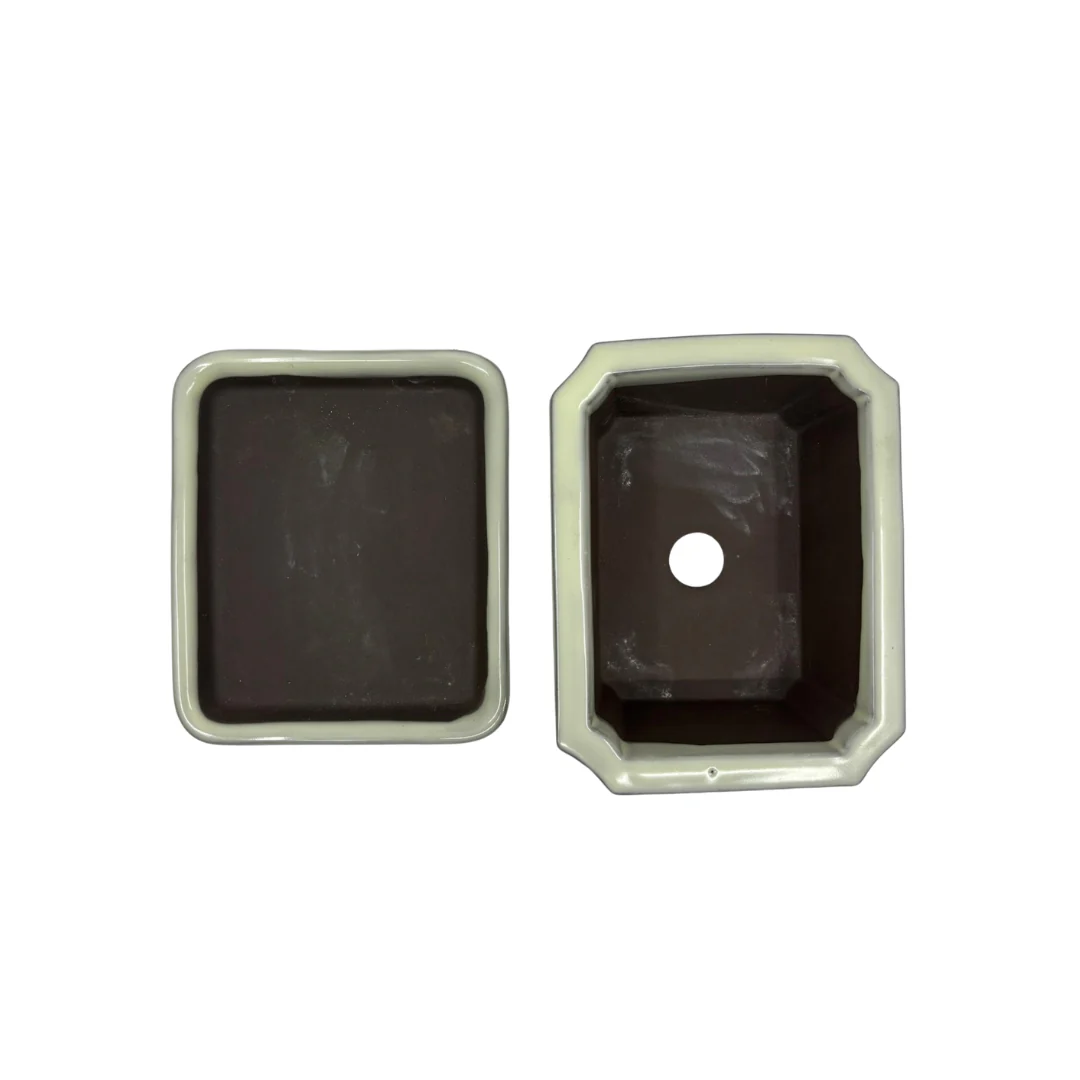 Bonsai pot set - rechthoekig, geglazuurd, crème (14cm breed) - Image 6