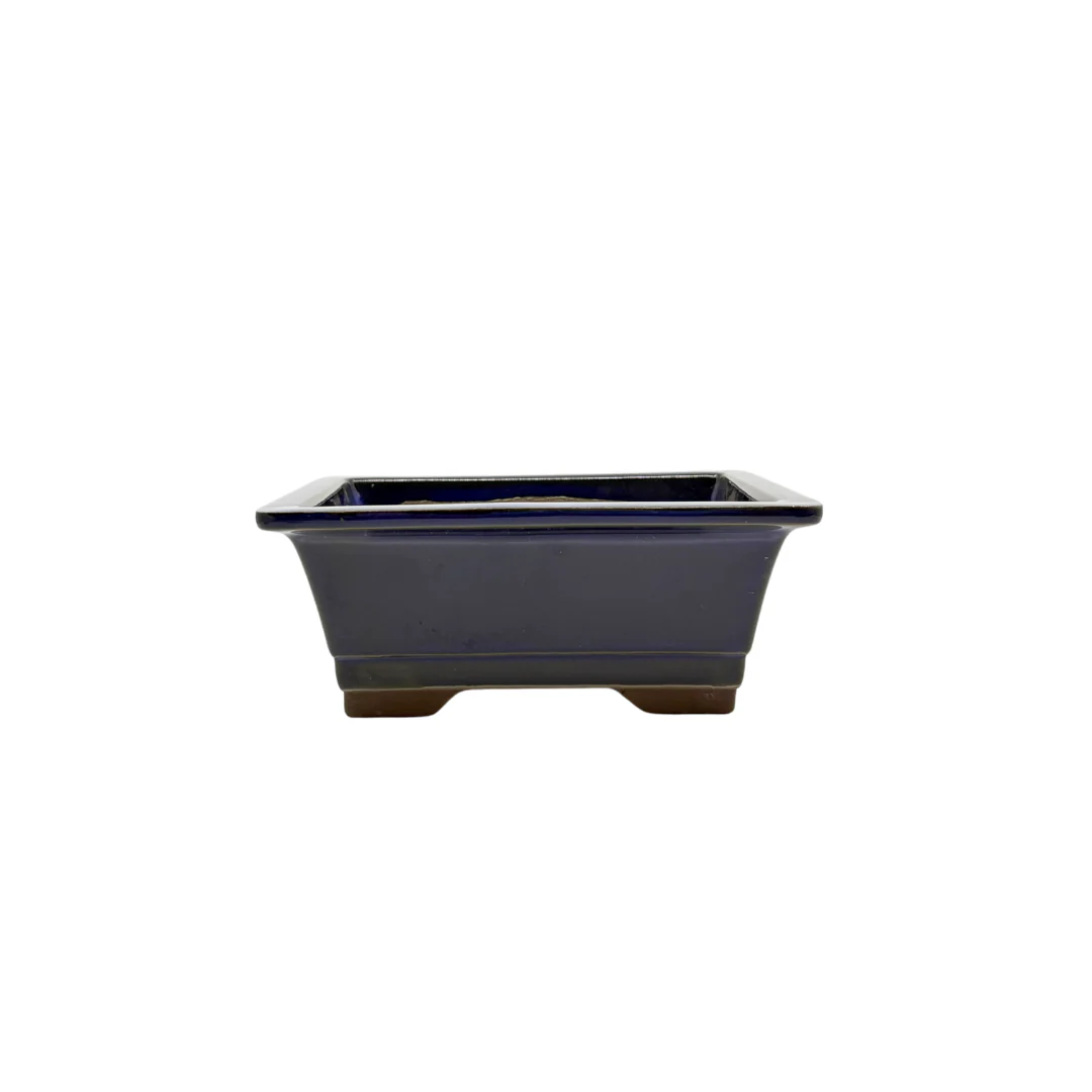 Bonsai pot set - rechthoekig, geglazuurd, blauw (14cm breed) - Image 2