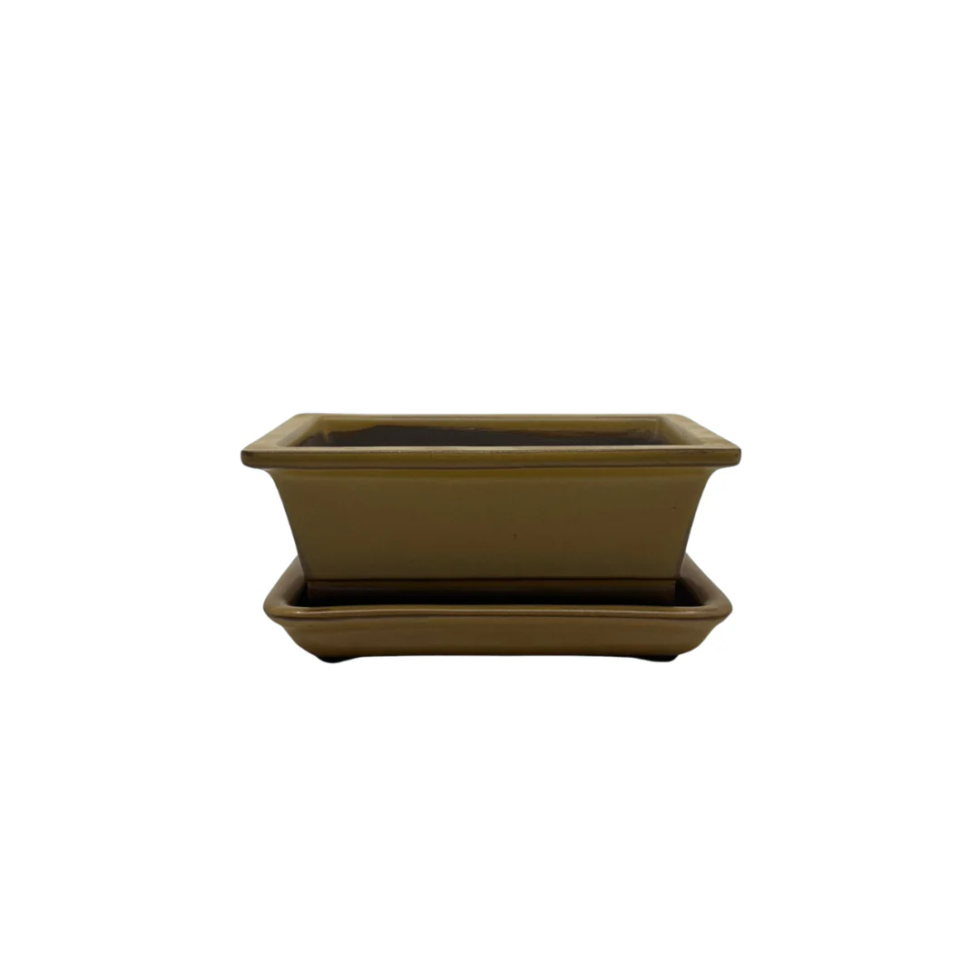 Bonsai pot set - rechthoekig, geglazuurd, geel (14cm breed)