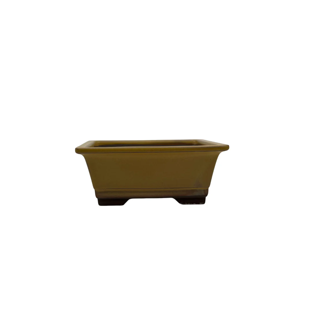Bonsai pot set - rechthoekig, geglazuurd, geel (14cm breed) - Image 2