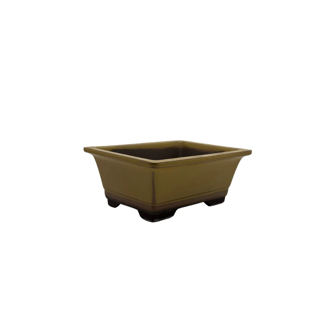 Bonsai pot set - rechthoekig, geglazuurd, geel (14cm breed) - Image 3