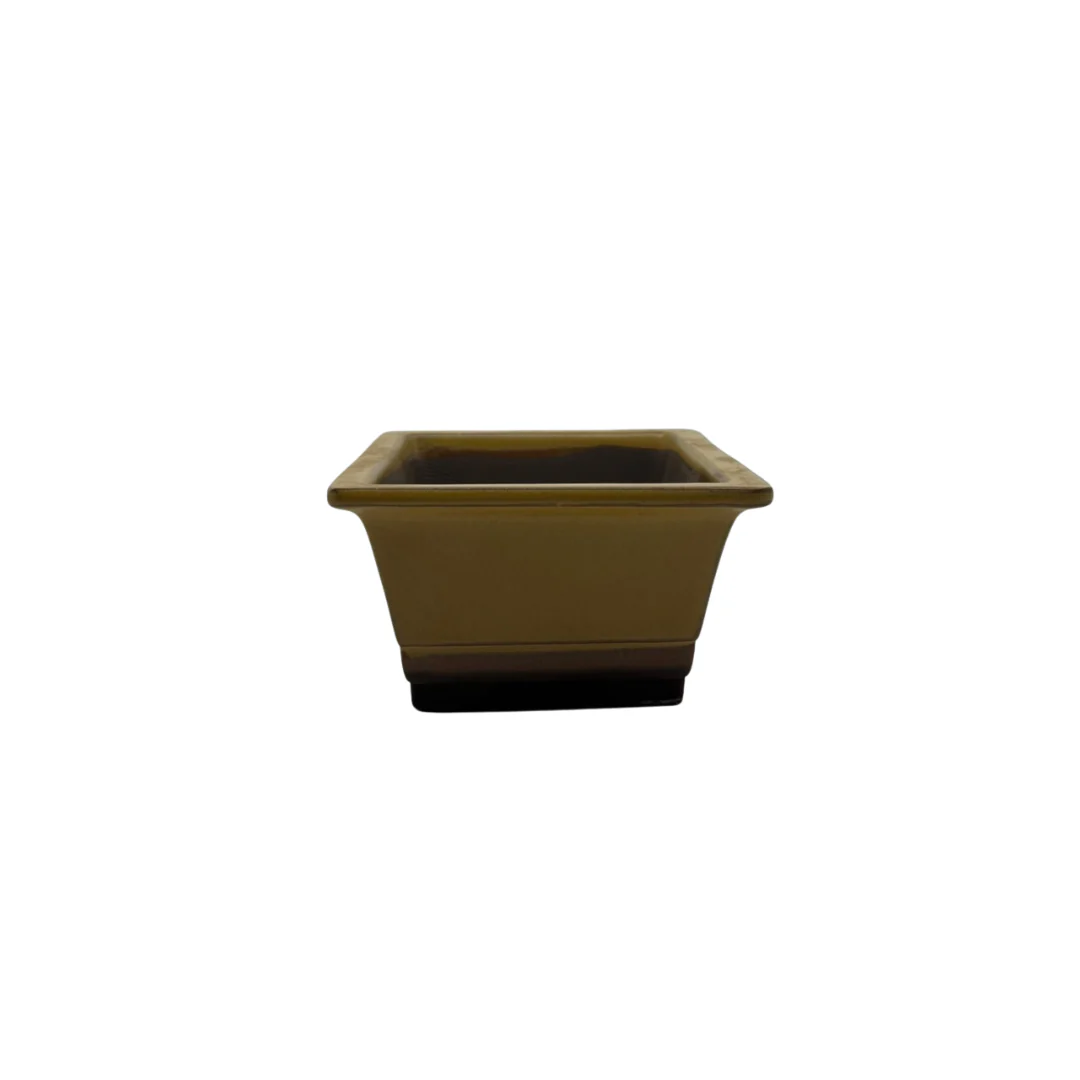 Bonsai pot set - rechthoekig, geglazuurd, geel (14cm breed) - Image 4
