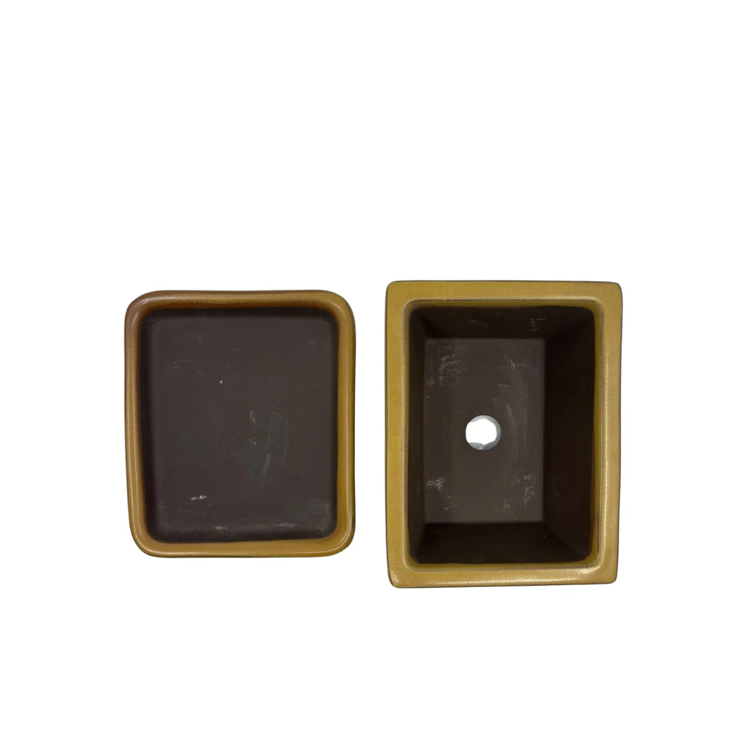 Bonsai pot set - rechthoekig, geglazuurd, geel (14cm breed) - Image 6