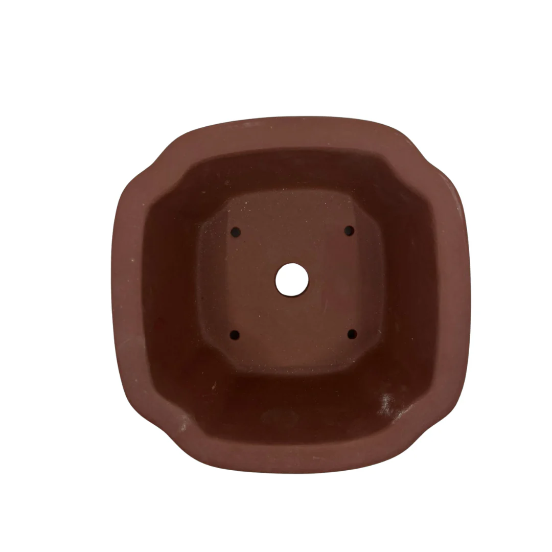 Bonsai pot - vierkant, ongeglazuurd (13cm breed) - Image 4