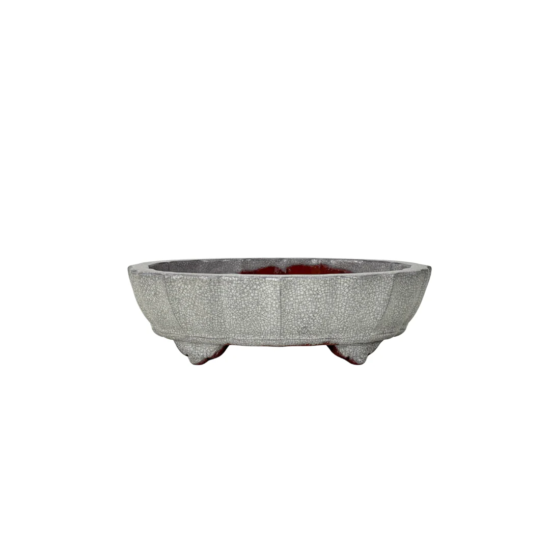 Bonsai pot wit grijs craquelé chrysant 17cm