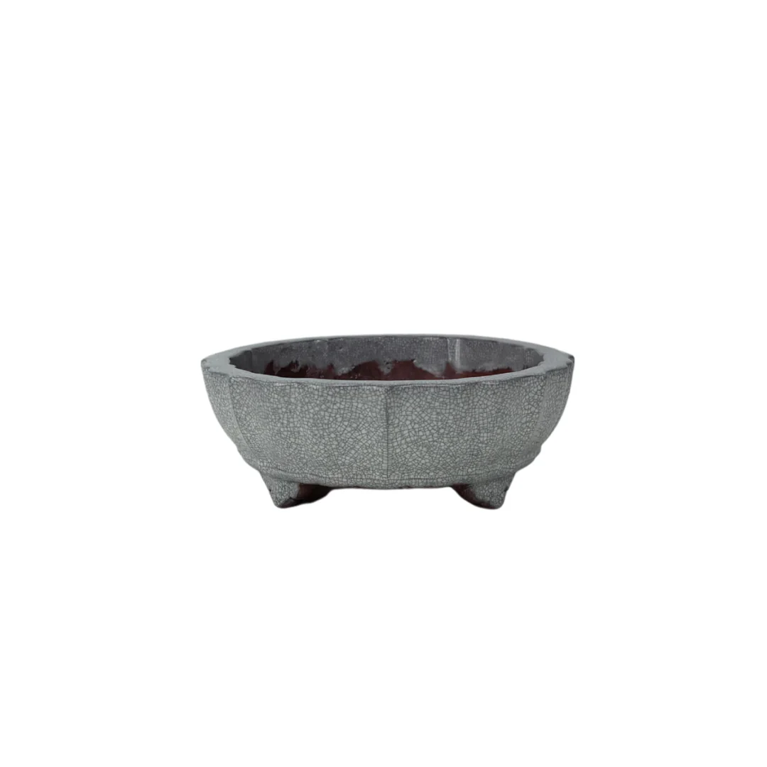 Bonsai pot wit grijs craquelé chrysant 17cm - Image 2