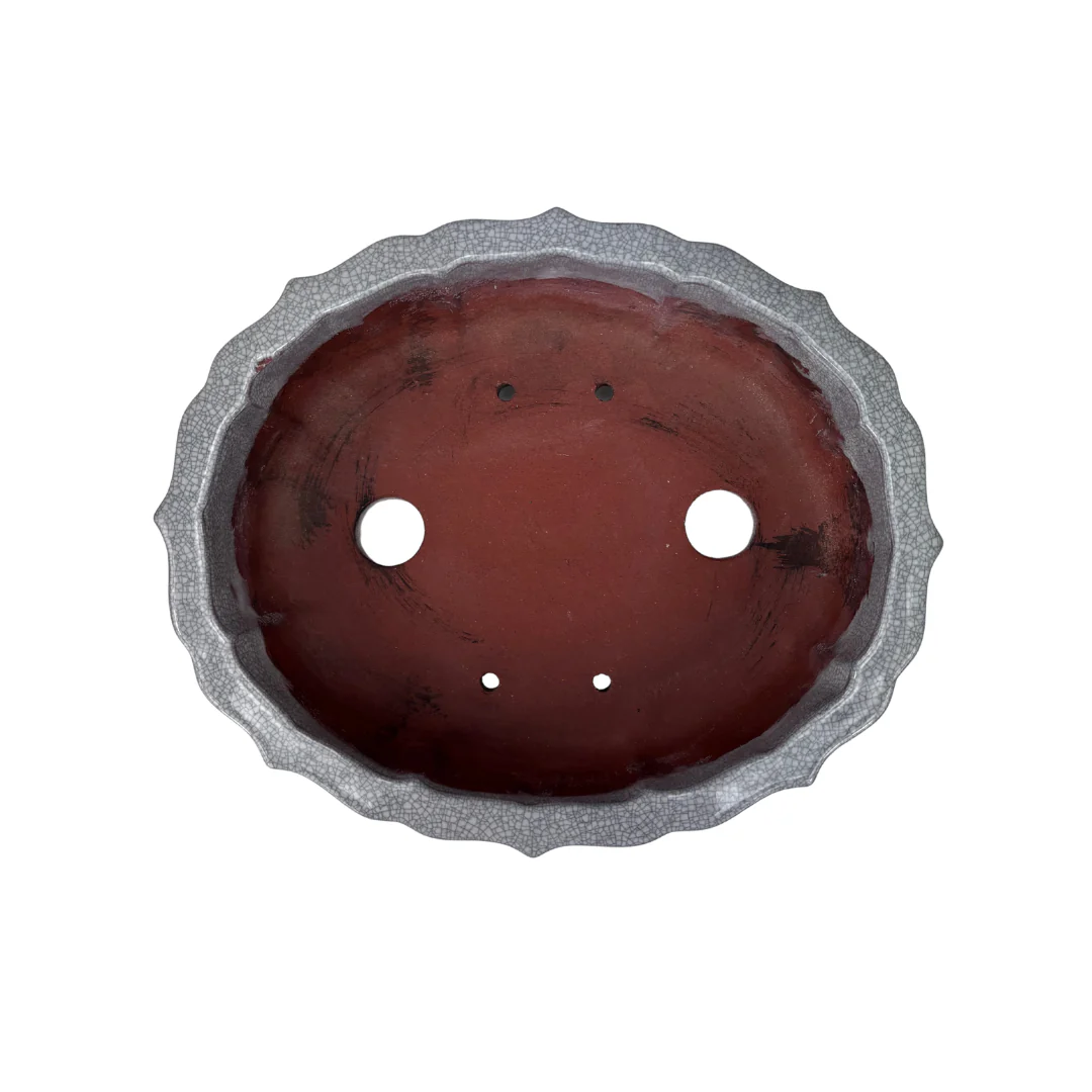Bonsai pot wit grijs craquelé chrysant 17cm - Image 4