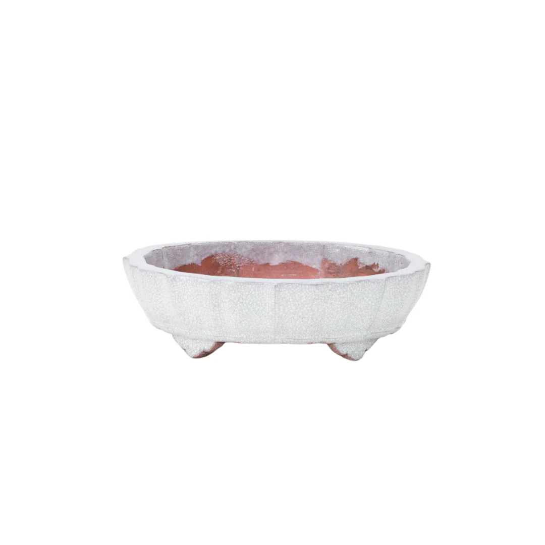 Bonsai pot wit grijs craquelé chrysant 17cm - Image 6