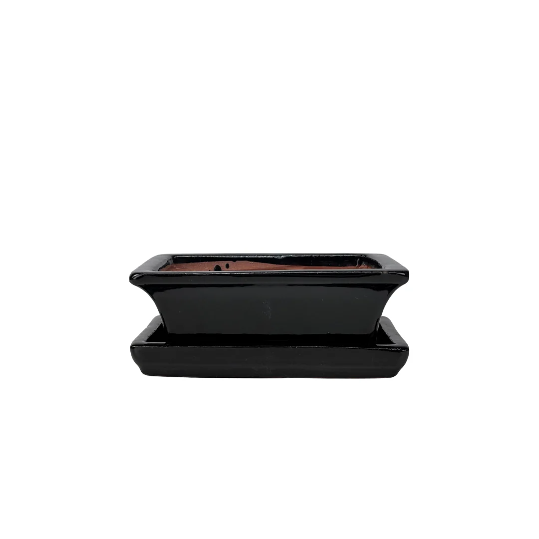 Bonsai pot zwart rechthoek 14cm - set