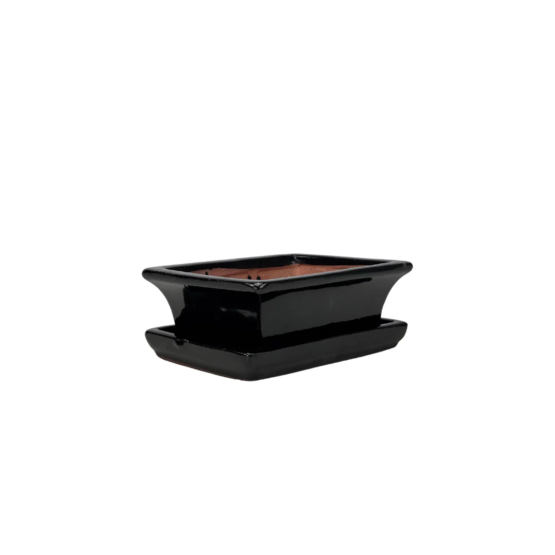 Bonsai pot zwart rechthoek 14cm - set - Image 2