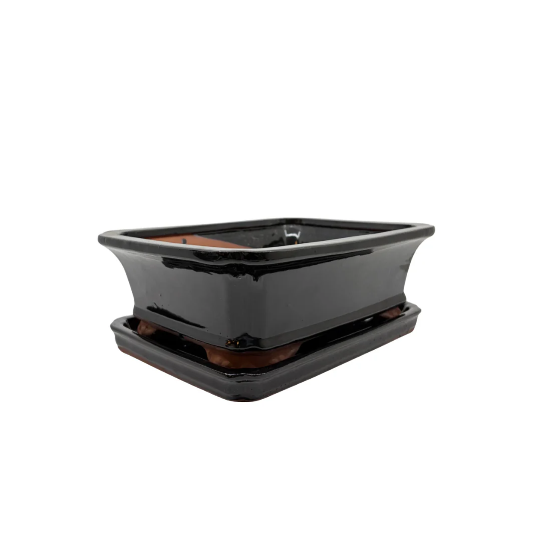 Bonsai pot zwart rechthoek 21cm - set - Image 2