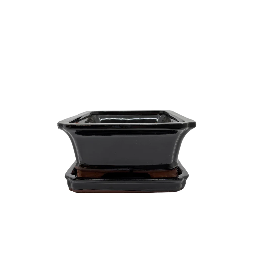 Bonsai pot zwart rechthoek 21cm - set - Image 3