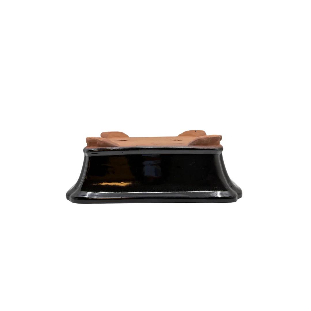 Bonsai pot zwart rechthoek 21cm - set - Image 4