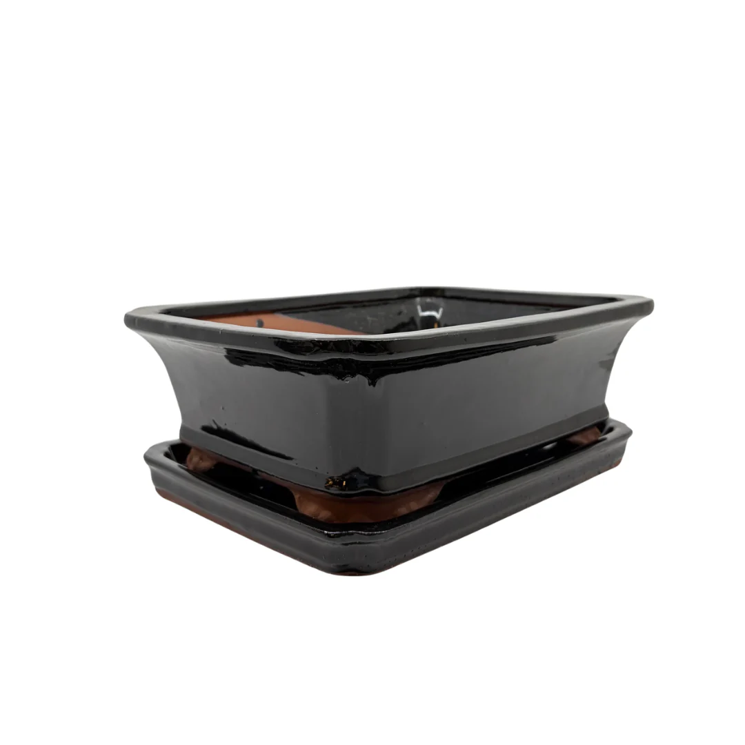 Bonsai pot zwart rechthoek 27cm - set - Image 2