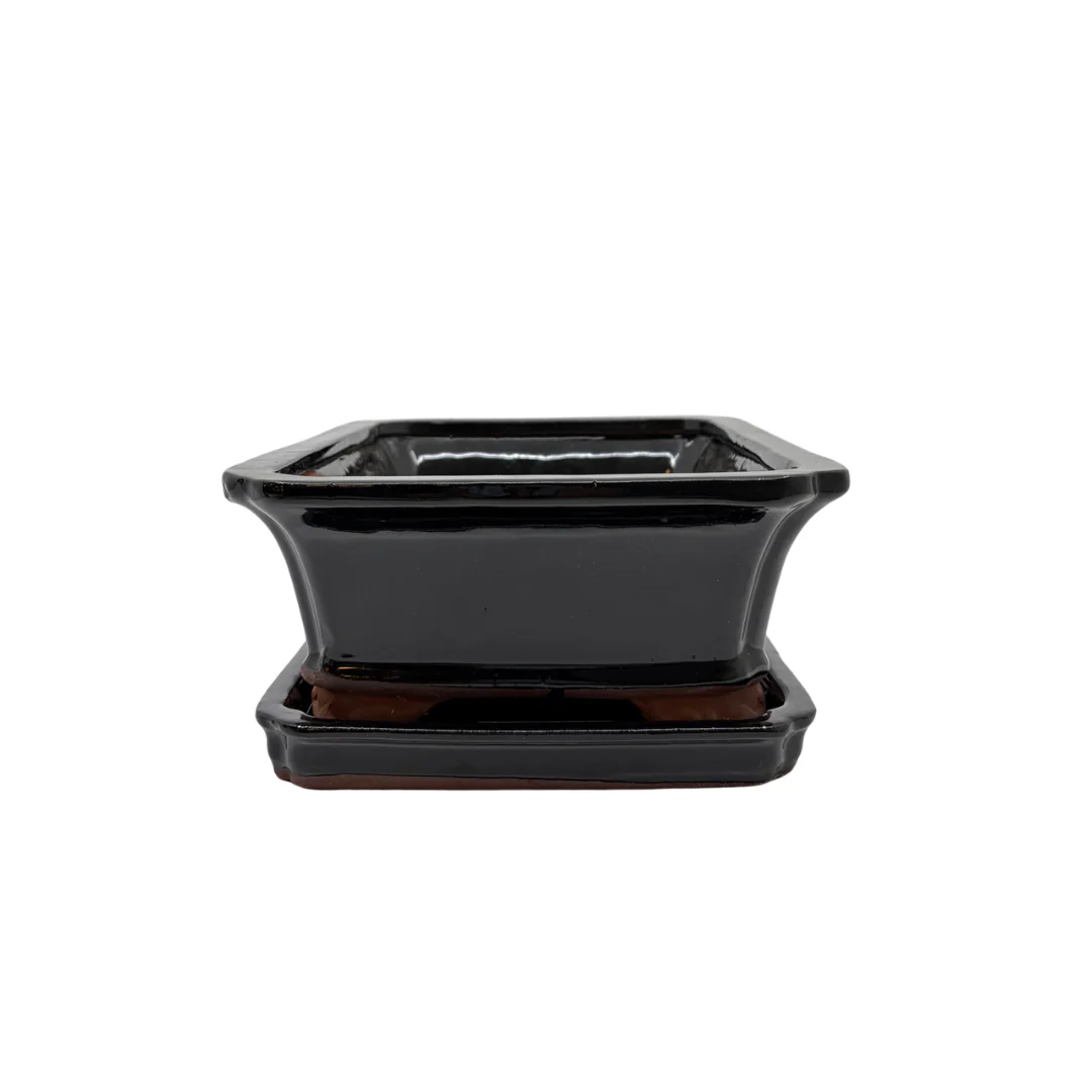 Bonsai pot zwart rechthoek 27cm - set - Image 3