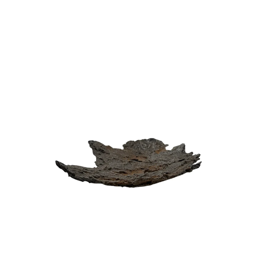 Bonsai slab bruin met roest accenten 16cm - Image 4