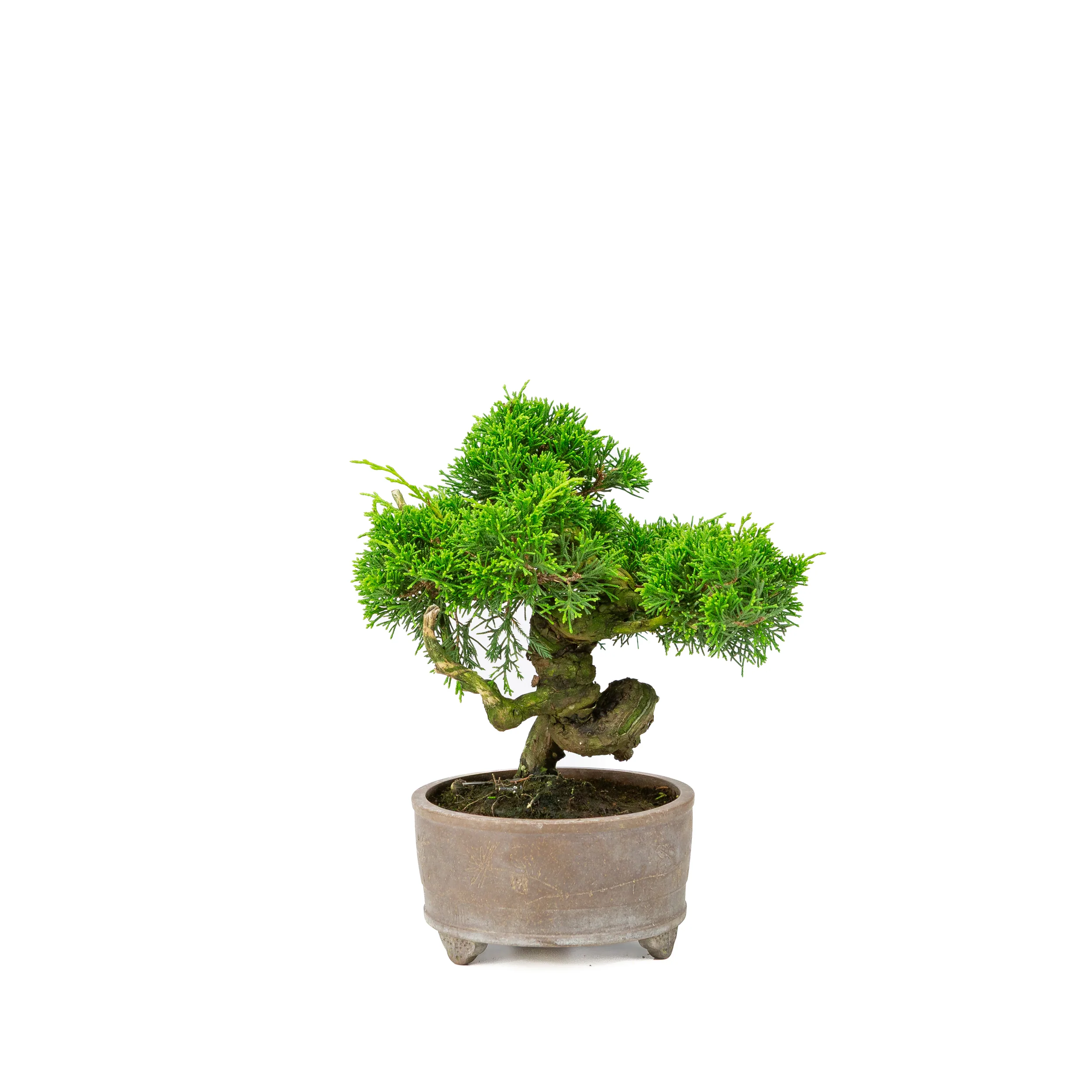 Miniatuur 1