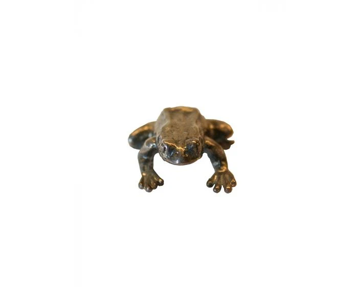 Miniatuur 1