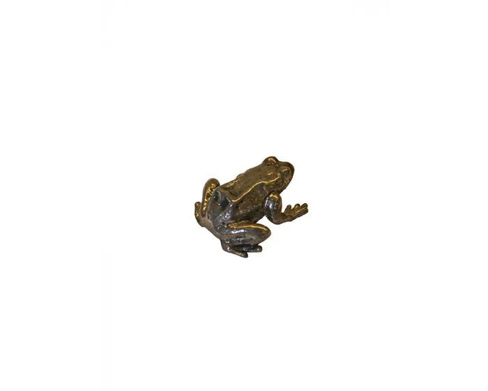 Bonsai Tenpai / Kikker (zilver) - Image 4
