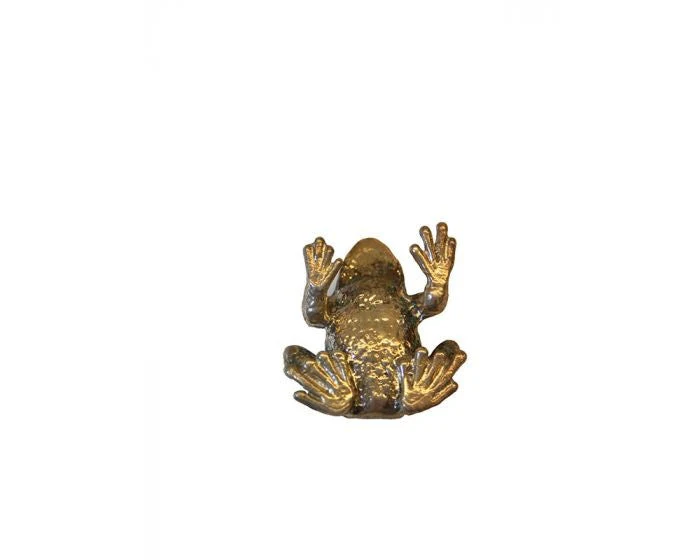 Bonsai Tenpai / Kikker (zilver) - Image 7