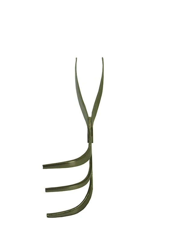 Bonsai pincet en harkje - Image 4