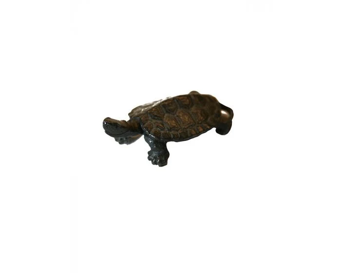 Miniatuur 1