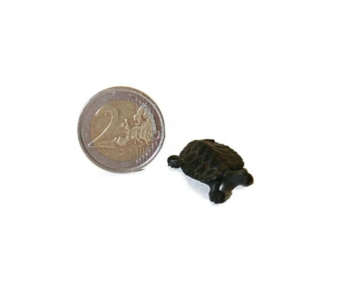 Miniatuur 2