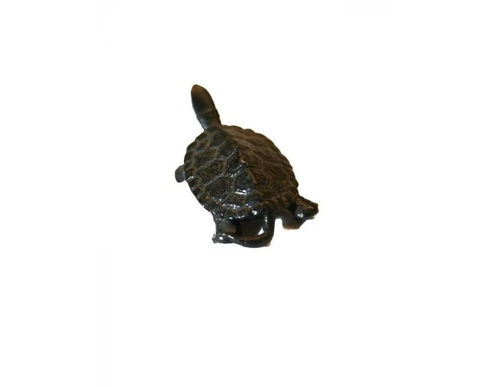 Bonsai Tenpai / Schildpad (brons) - Image 3