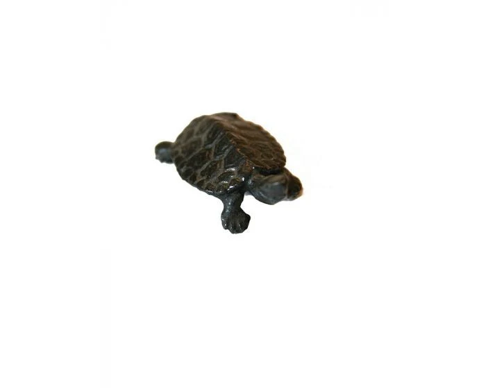 Bonsai Tenpai / Schildpad (brons) - Image 4