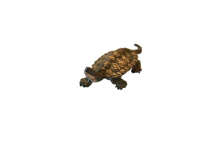 Miniatuur 1