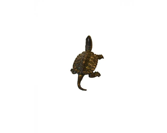 Bonsai Tenpai / Schildpad (zilver) - Image 3