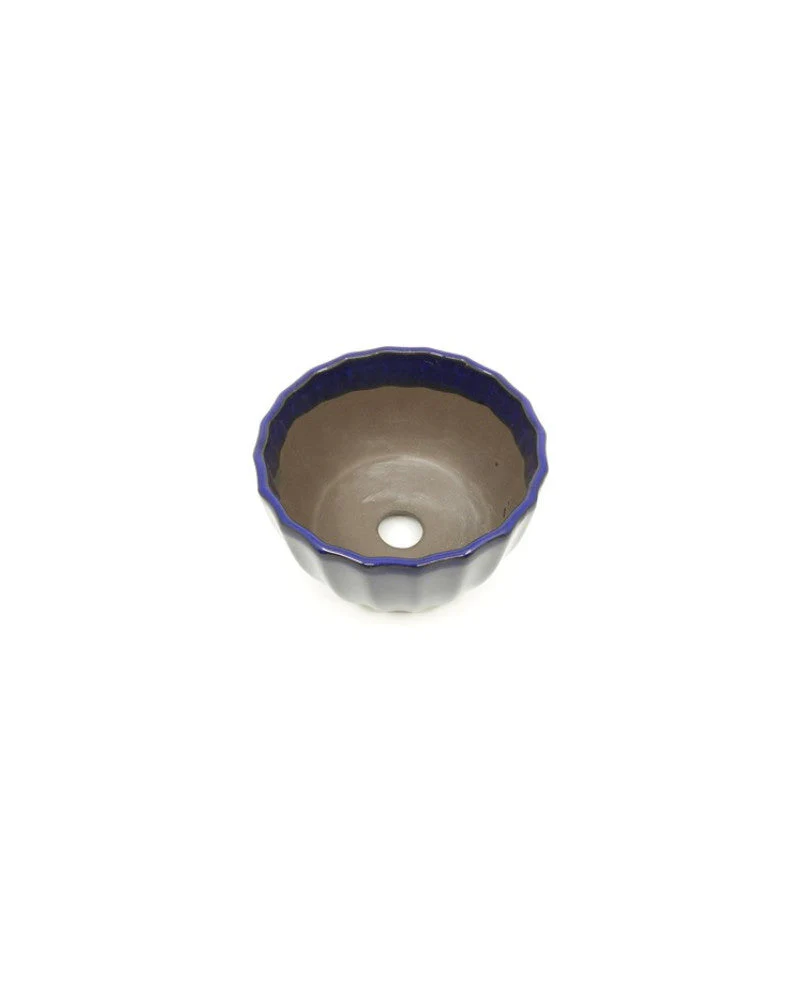 Shohin Bonsai Pot donker blauw chrysanten 10cm - Image 3