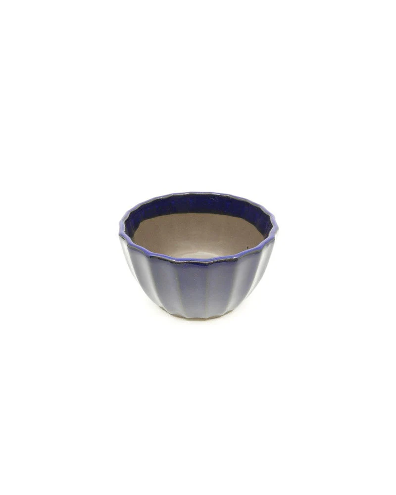 Shohin Bonsai Pot donker blauw chrysanten 10cm - Image 4